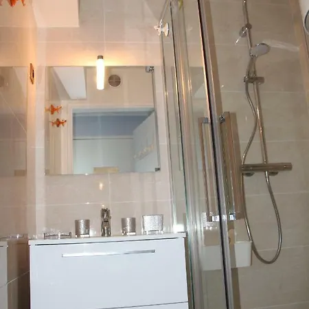 Magnifique Vue Et Foret