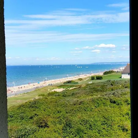 Magnifique Vue Et Foret *