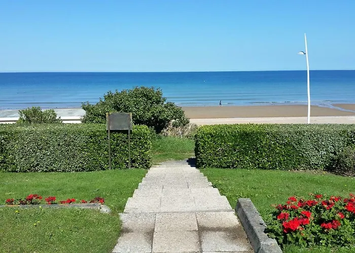 Magnifique Vue Et Forêt