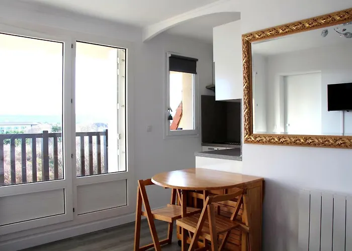 Magnifique Vue Et Foret *