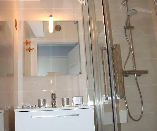 Magnifique Vue Et Forêt