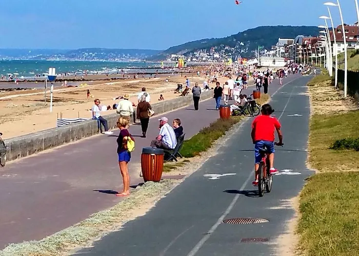 Magnifique Vue Et Foret *