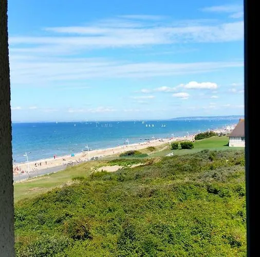 Magnifique Vue Et Forêt *
